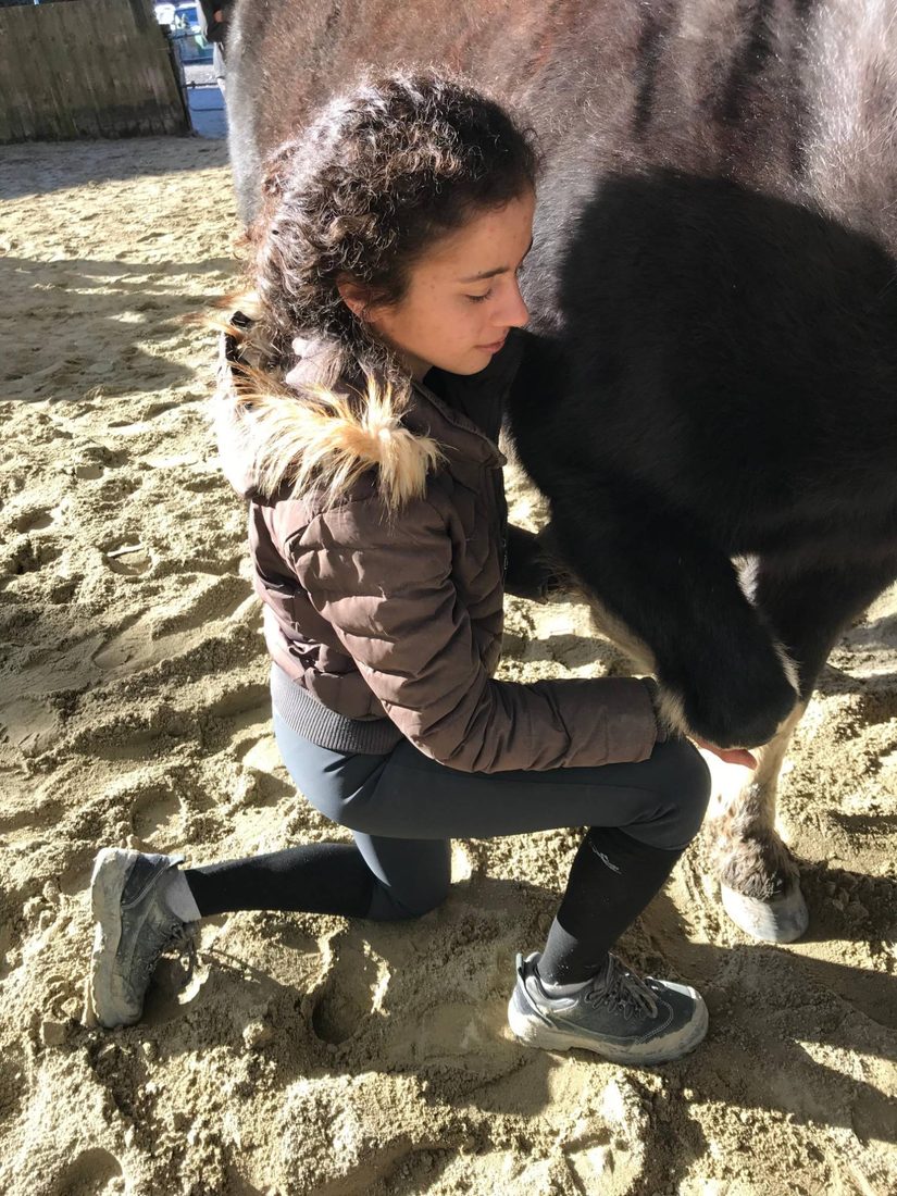 Célia Le Fur palpant l'antérieur d'un cheval lors d'une séance d'ostéopathie